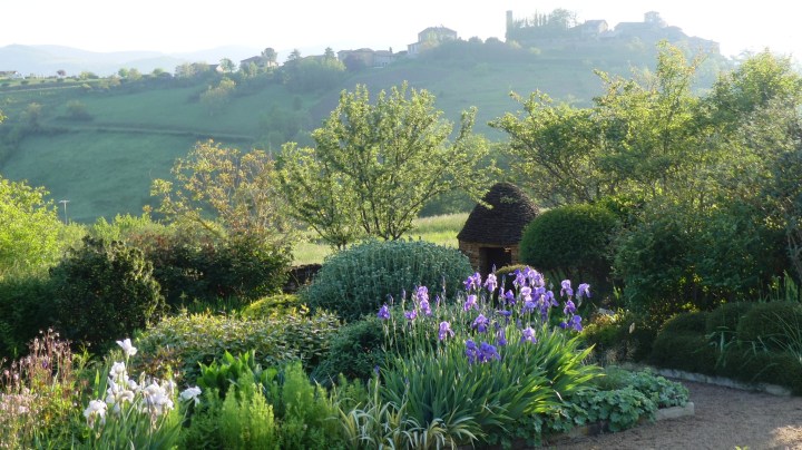 Vue sur le village médiéval de Ternand depuis les Jardins de la Rejonière. On voit des Iris pallida en avant-plan et une cadole en pierres sèches dorées en milieu de plan.